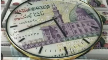 17% عائد ثابت.. البنك الأهلي يعلن تفاصيل جديدة لشهادات الادخار ذات العائد الأعلى شهريًا